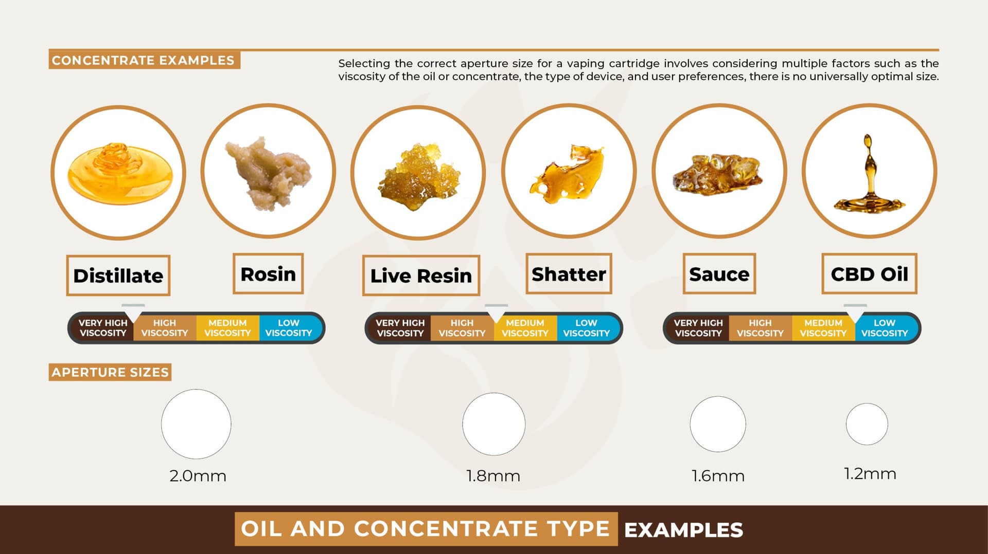 Oil Types Infographic